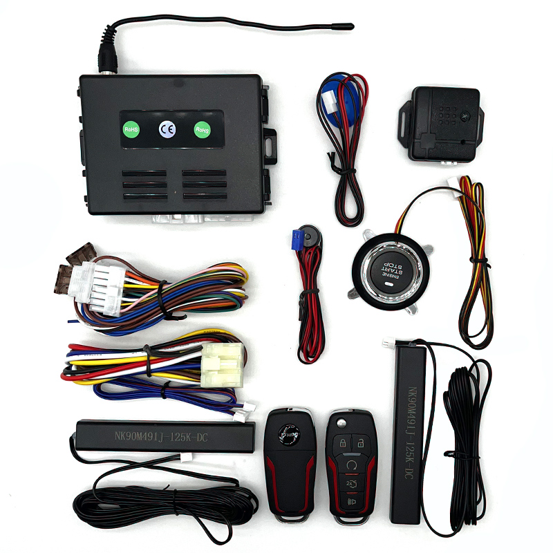Keyless Car Start System with  - Door Knob Replacement reseña y precio