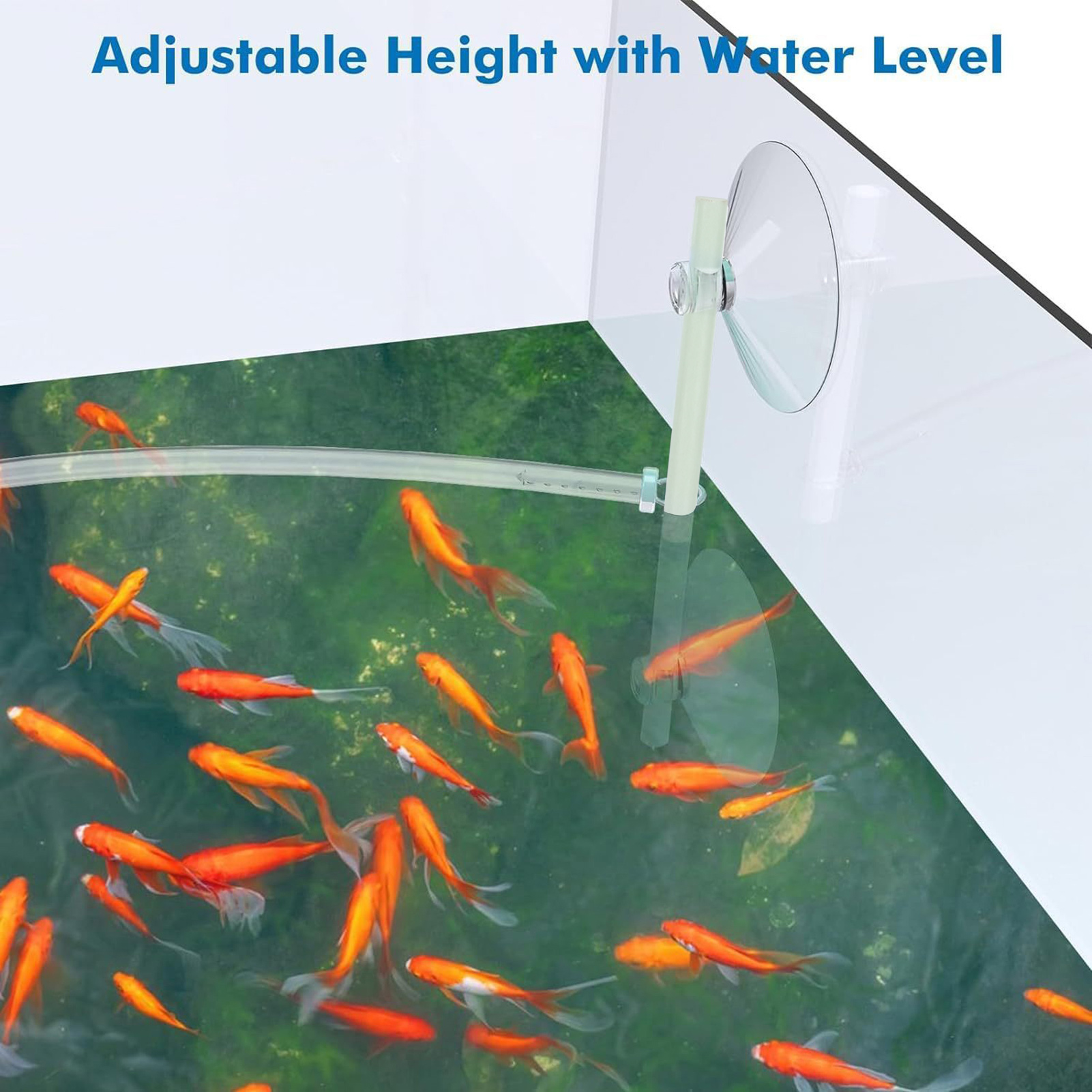Floating Plant Fence for Fish  - Home Improvement Fence reseña y precio